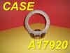 CASE-A17920DISC.jpg (77387 bytes)