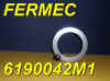 FERMEC-6190042M1DISC.jpg (66243 bytes)