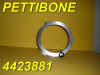PETTIBONE-4423881DISC.jpg (77789 bytes)