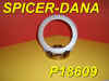 SPICER-DANA-P18609.jpg (88029 bytes)