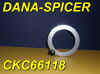 SPICERDANA-CKC66118DISC.jpg (64695 bytes)