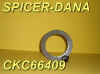 SPICERDANA-CKC66409DISC.jpg (61292 bytes)