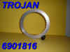 TROJAN-6901816DISC.jpg (76705 bytes)